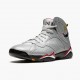 Air Jordan 7 Retro Reflections of A Champion BV6281-006 Sko