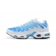 Herre Nike Air Max Plus Tn Blå Hvit 852630-411 Løper sko