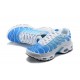 Herre Nike Air Max Plus Tn Blå Hvit 852630-411 Løper sko