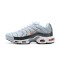 Herre Nike Air Max Plus Tn Crater Grå DA1500-100 Løper sko