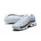 Herre Nike Air Max Plus Tn Crater Grå DA1500-100 Løper sko