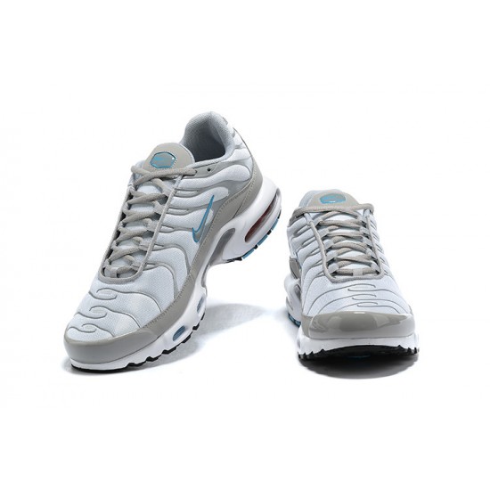 Herre Nike Air Max Plus Tn Grå Hvit CZ7552-002 Løper sko