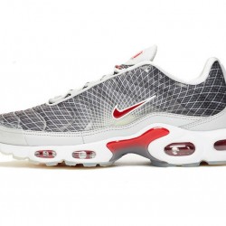 Herre Nike Air Max Plus Tn Grå og Hvit Løper sko