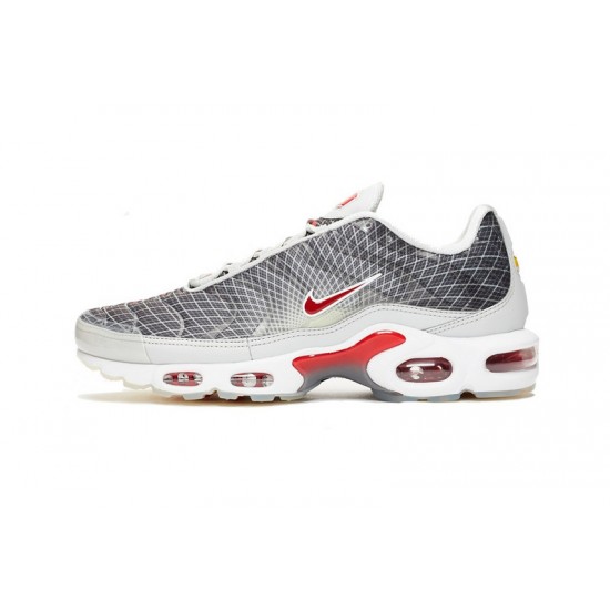 Herre Nike Air Max Plus Tn Grå og Hvit Løper sko