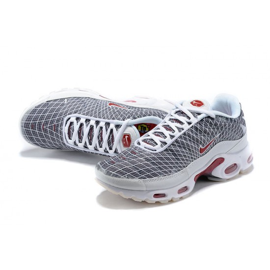 Herre Nike Air Max Plus Tn Grå og Hvit Løper sko