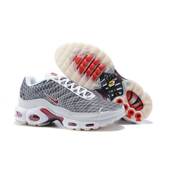 Herre Nike Air Max Plus Tn Grå og Hvit Løper sko