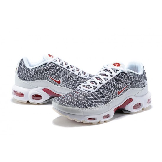 Herre Nike Air Max Plus Tn Grå og Hvit Løper sko