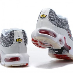 Herre Nike Air Max Plus Tn Grå og Hvit Løper sko