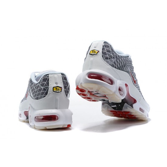 Herre Nike Air Max Plus Tn Grå og Hvit Løper sko