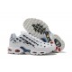 Herre Nike Air Max Plus Tn Hvit Blå CI9103-100 Løper sko