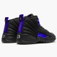 Jordan 12 Retro Black Dark Concord Svart/Svart-Dark Concord Jordan Sko CT8013-005