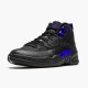 Jordan 12 Retro Black Dark Concord Svart/Svart-Dark Concord Jordan Sko CT8013-005