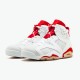 Jordan 6 Retro Alternate Hare Vit/Gym Röd-Pure Platina Jordan Sko 384664-113