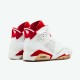 Jordan 6 Retro Alternate Hare Vit/Gym Röd-Pure Platina Jordan Sko 384664-113