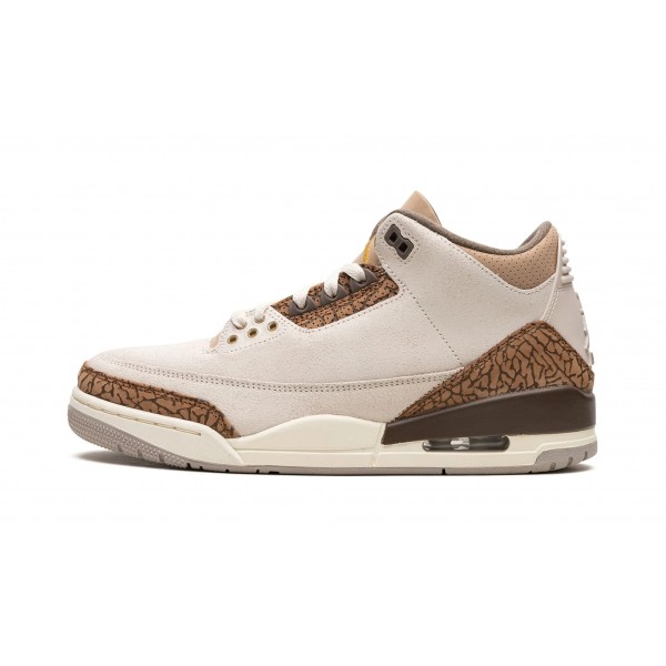 Nike Air Jordan 3 Herre Palomino Sko CT8532-102