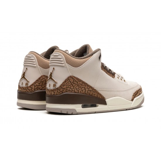 Nike Air Jordan 3 Herre Palomino Sko CT8532-102